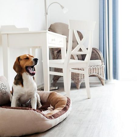 Hotel, Restaurant, Cafe Pharisaeerhof - Nordseeurlaub Mit Hund Нордщранд Екстериор снимка