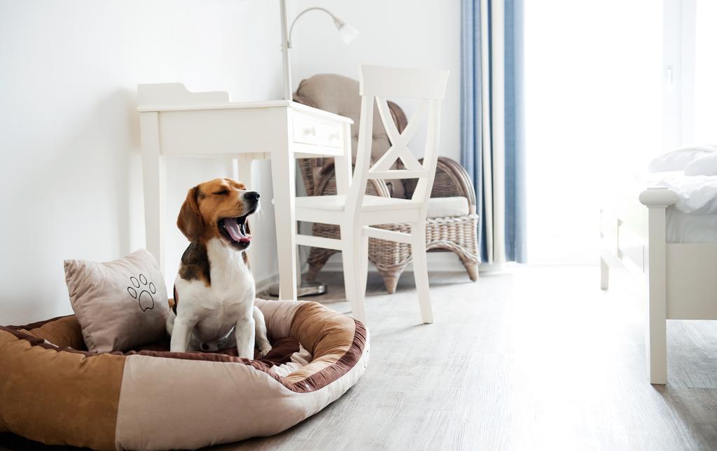 Hotel, Restaurant, Cafe Pharisaeerhof - Nordseeurlaub Mit Hund Нордщранд Екстериор снимка