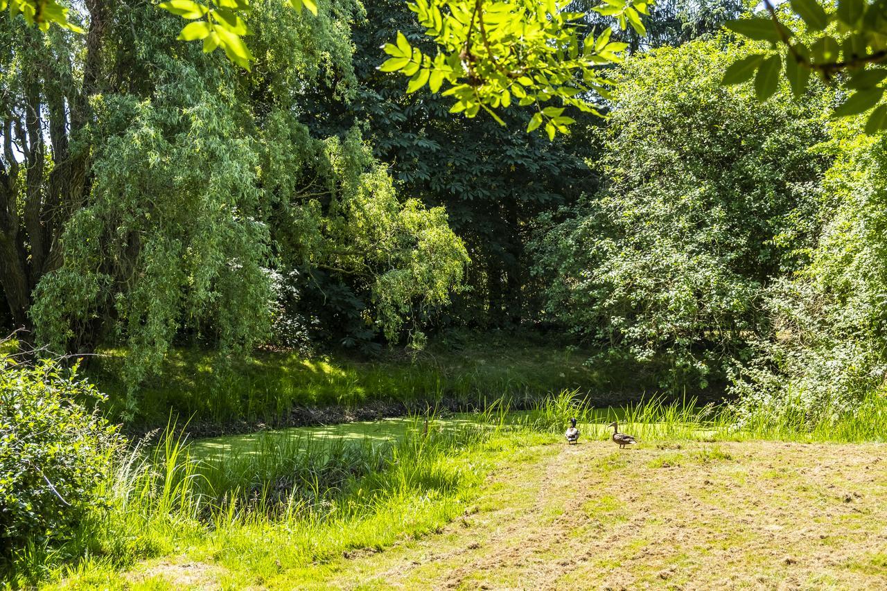 Hotel, Restaurant, Cafe Pharisaeerhof - Nordseeurlaub Mit Hund Нордщранд Екстериор снимка