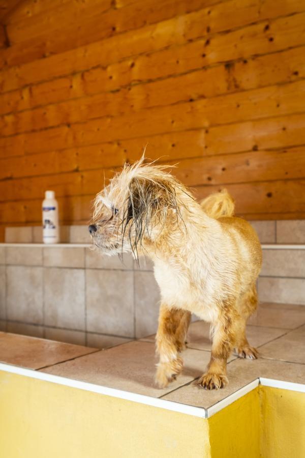 Hotel, Restaurant, Cafe Pharisaeerhof - Nordseeurlaub Mit Hund Нордщранд Екстериор снимка